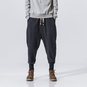 Chinese Style Harem Pants Men Streetwear Casual Joggers Mens Pants