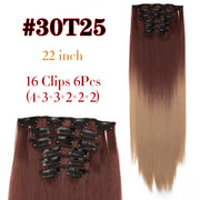 Leeons Synthetic Hair 16 clips Long Straight Synthetic Hair