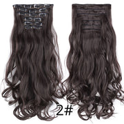 Leeons Synthetic Hair 16 clips Long Straight Synthetic Hair