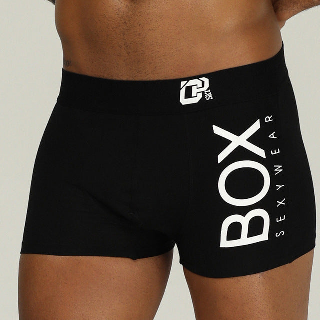 ORLVS Mens Boxer Sexy Underwear